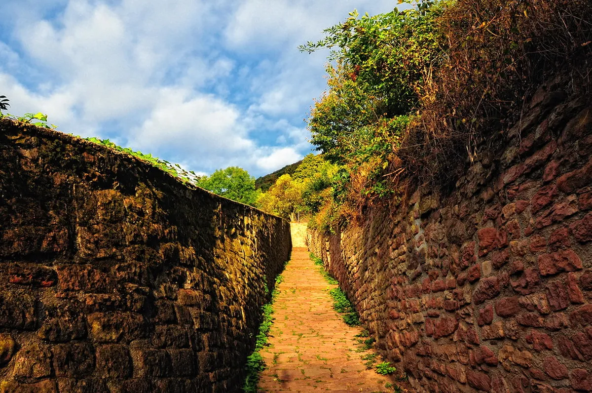 Philosophenweg Heidelberg Best Views: Your 2025 Guide