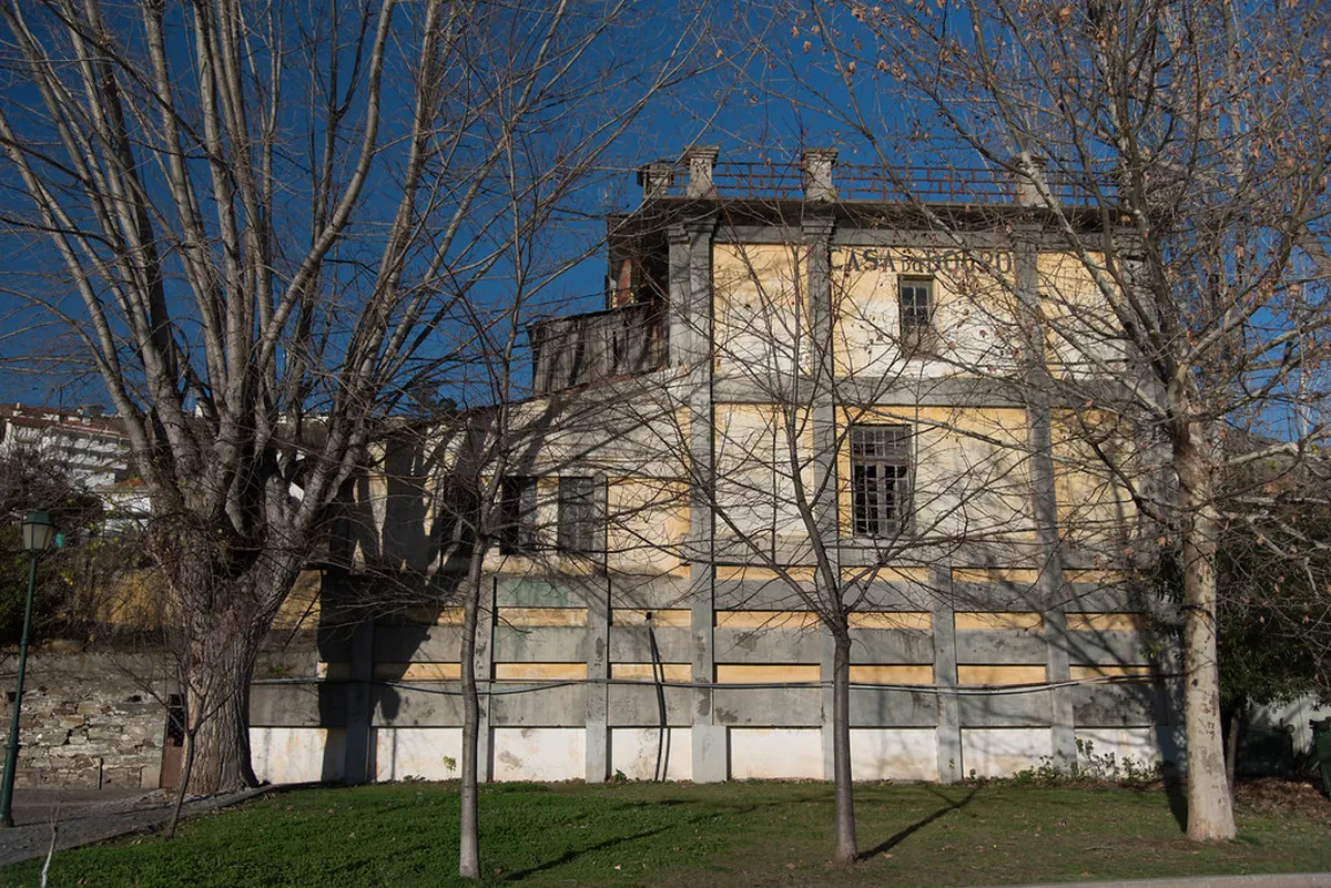 Top Pinhão Local Douro Experiences for 2025