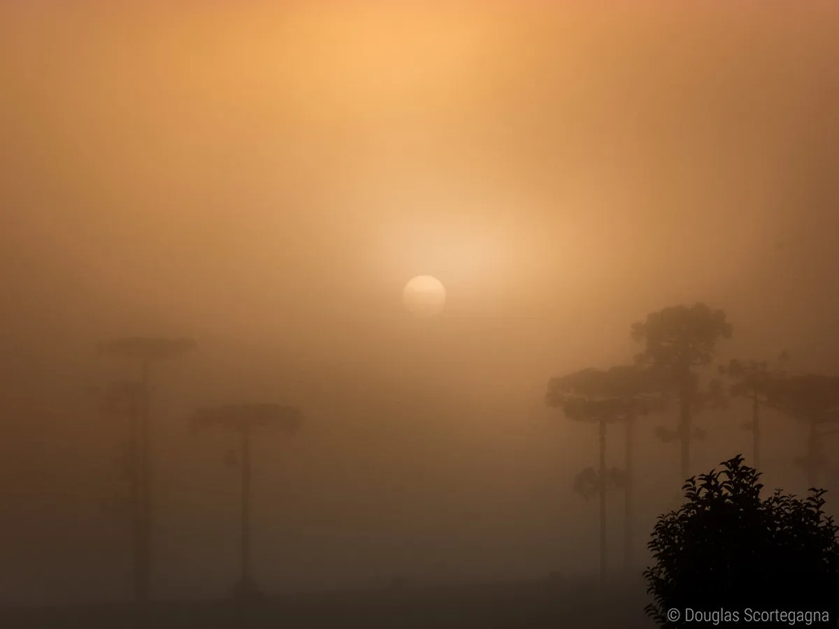 Pinhão Scenic Viewpoints: Best Douro Valley Views 2026