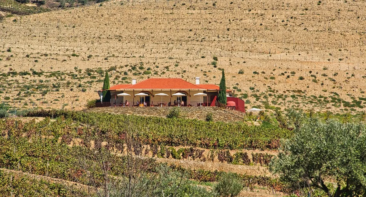 Pinhão Wine Tasting Guide 2025: Douro Valley Experience