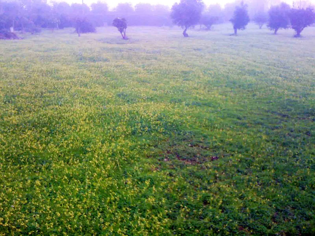 Your Perfect Pollença Itinerary for First-Timers in 2025