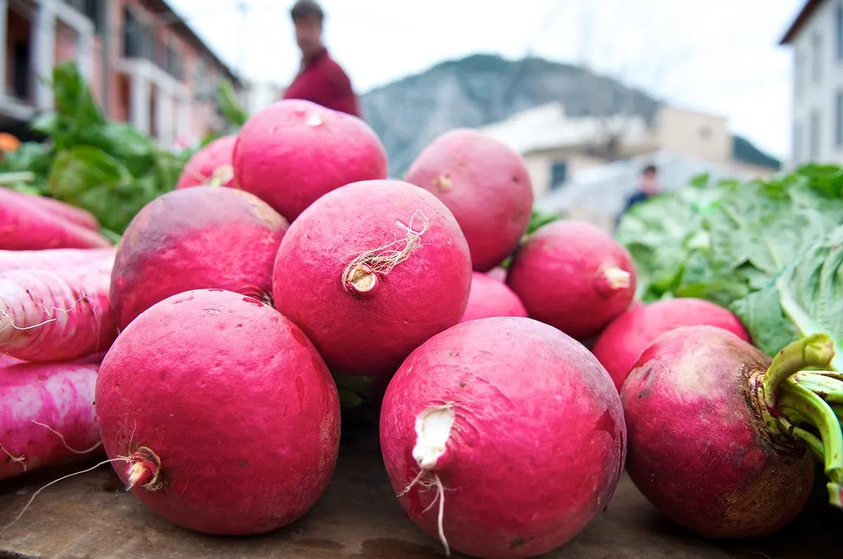 Pollença Market Day Tips 2025: Your Ultimate Guide