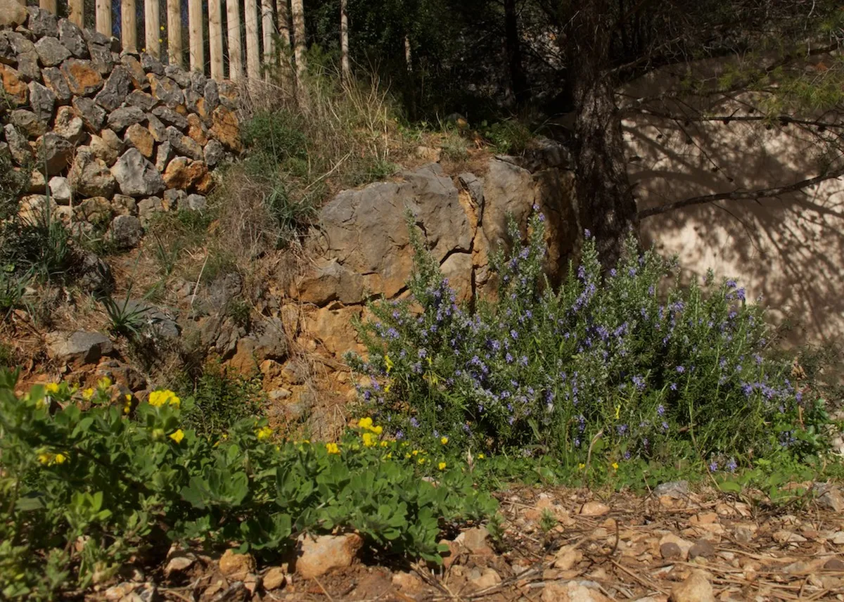 Top Port de Sóller Activities for 2025: Your Ultimate Guide