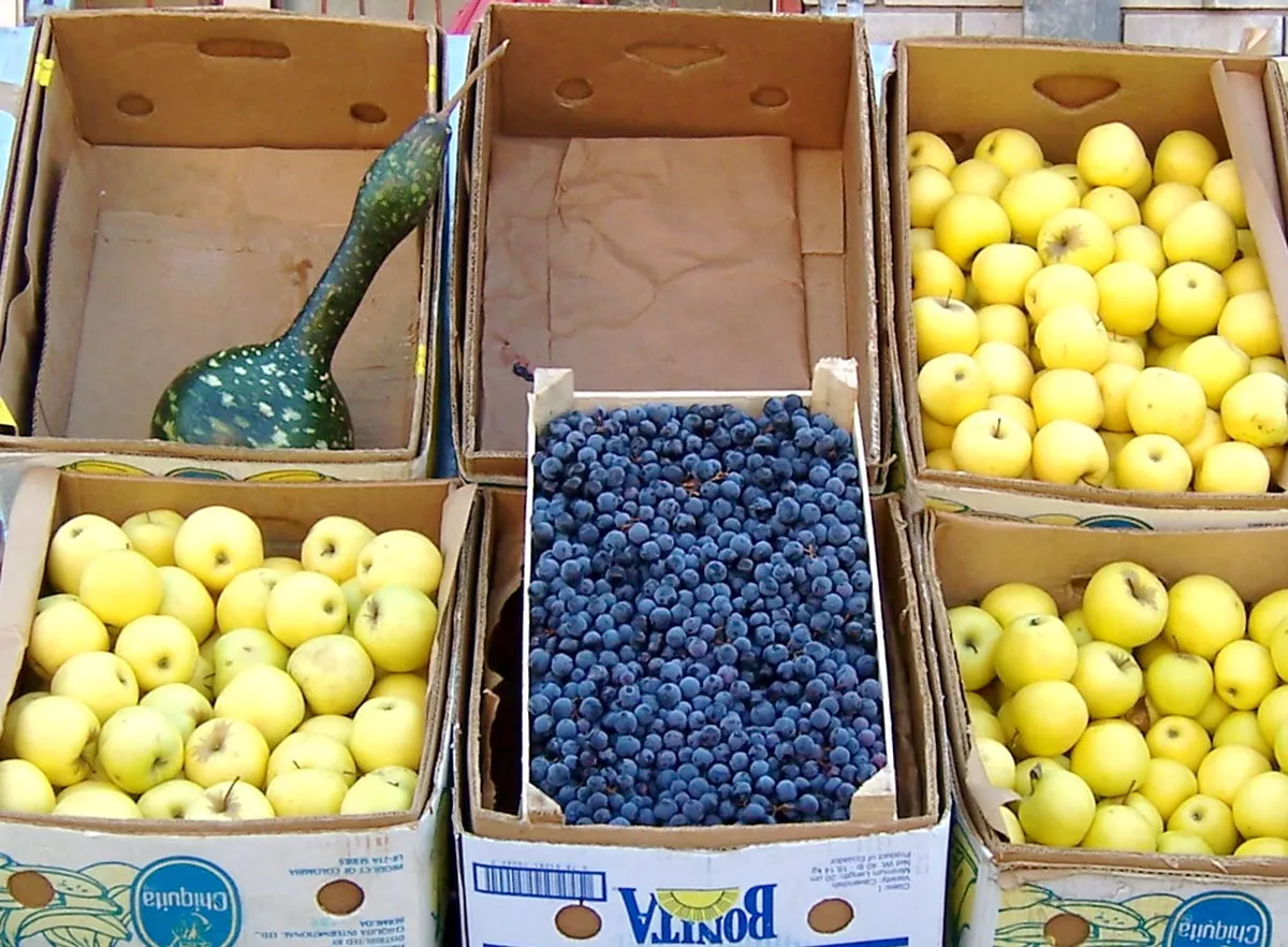 Your Ultimate Pristina Food Market Guide 2025