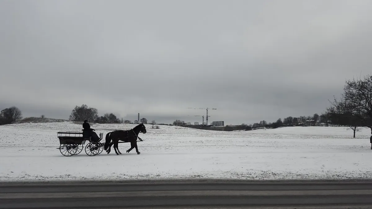 Bodø Architecture Tour: Public Transportation Guide
