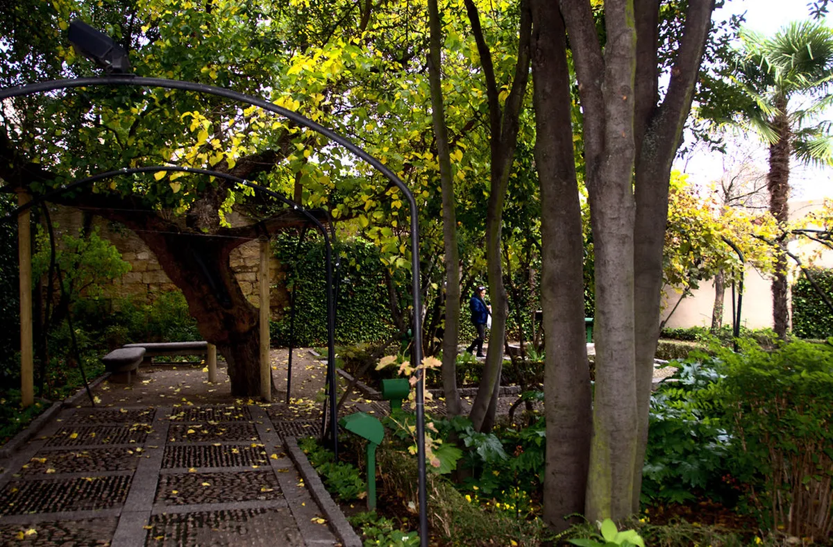 Salamanca Transport Guide 2025: Navigating the City