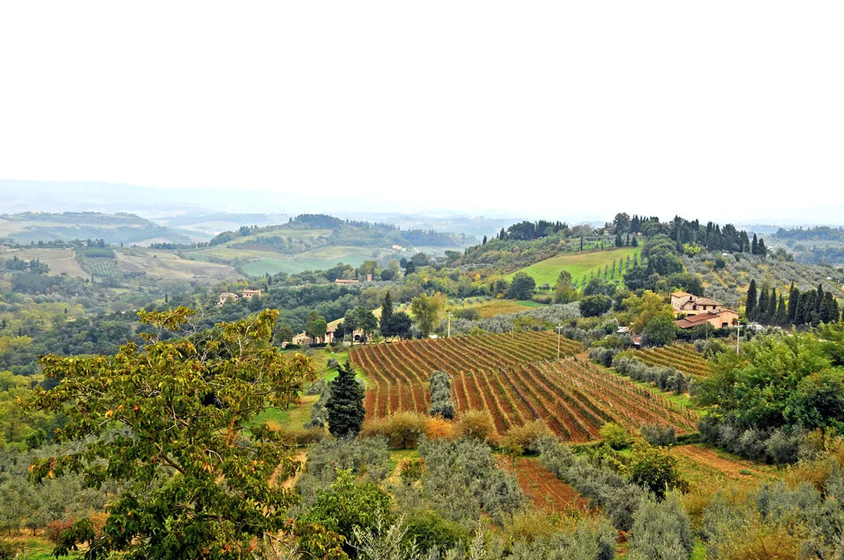 San Gimignano One Day Itinerary: A Perfect 2025 Guide