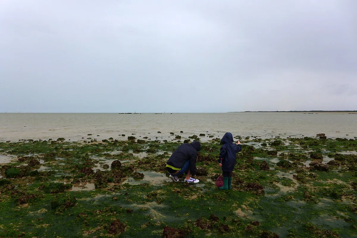 Sanlúcar Day Trip Ideas Nearby: Explore Andalucia in 2025