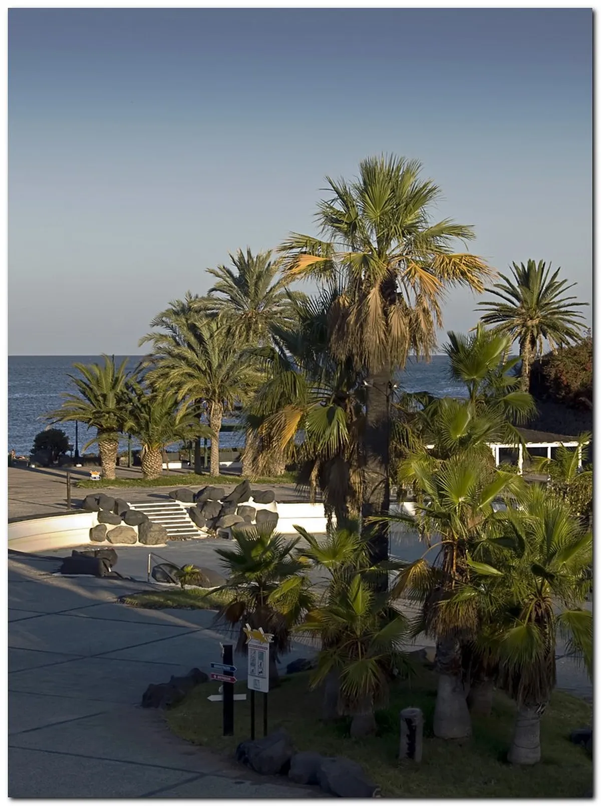 Santa Cruz de Tenerife Tips: Your Ultimate 2025 Travel Guide