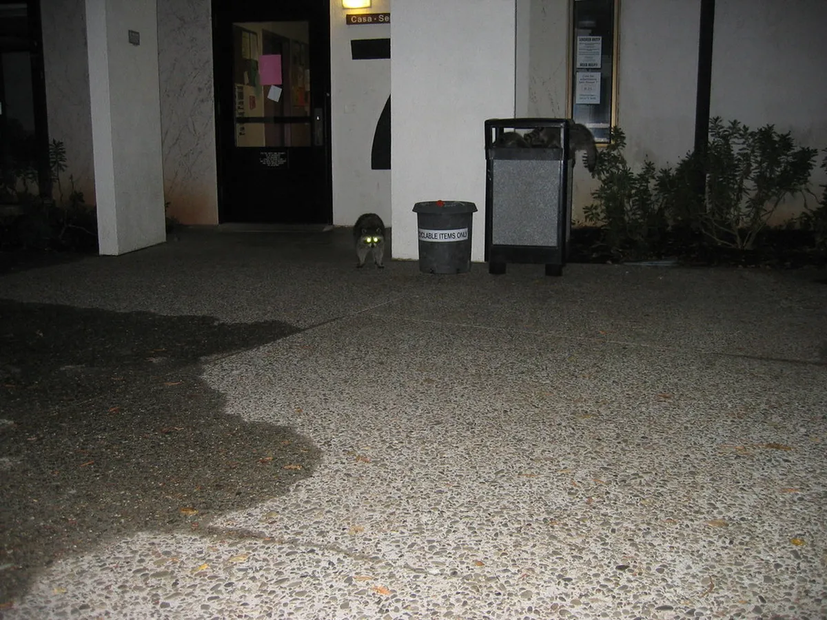 Santa Cruz de la Palma: Must-See Sights for 2025