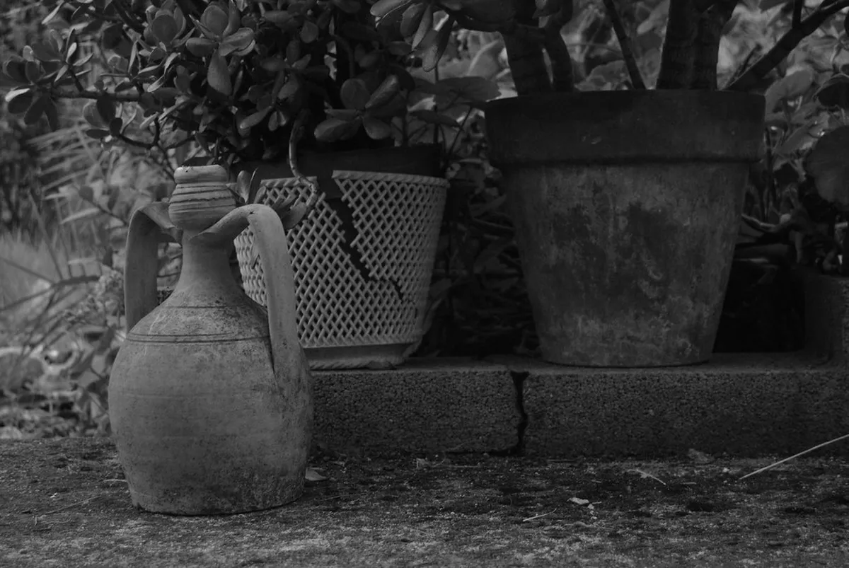 Sassari Day Trips: Your Ultimate 2025 Adventure Guide