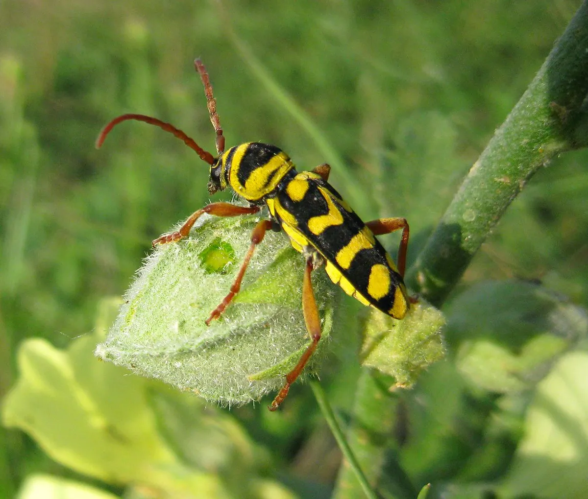 Essential Tbilisi Travel Tips 2025: Plan Your Perfect Trip