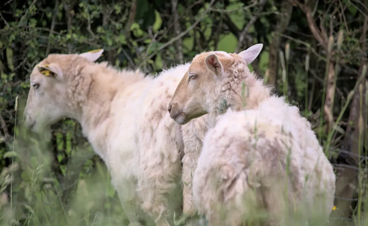 Free Things to Do in Milfontes 2025: Explore Portugal