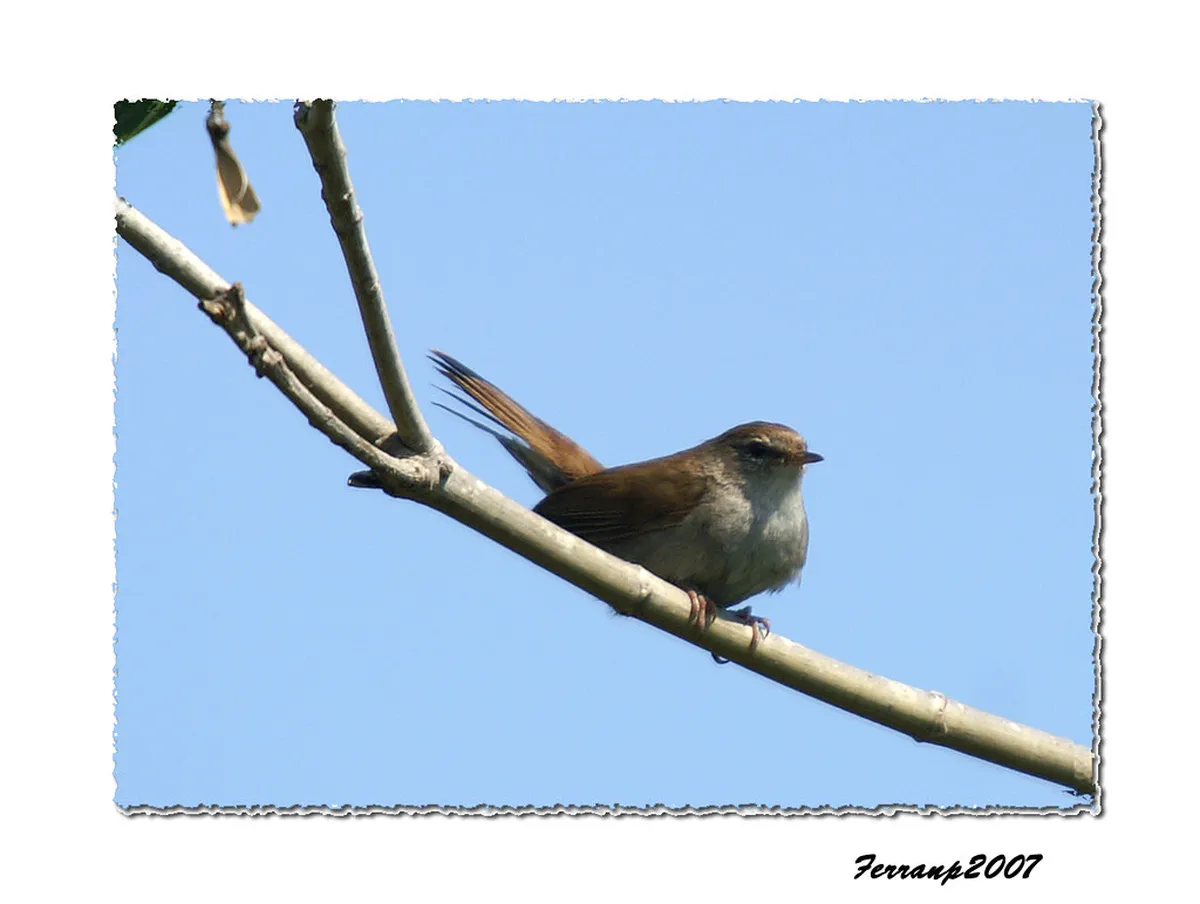 Best Things to Do in Oia at Night: A 2025 Guide