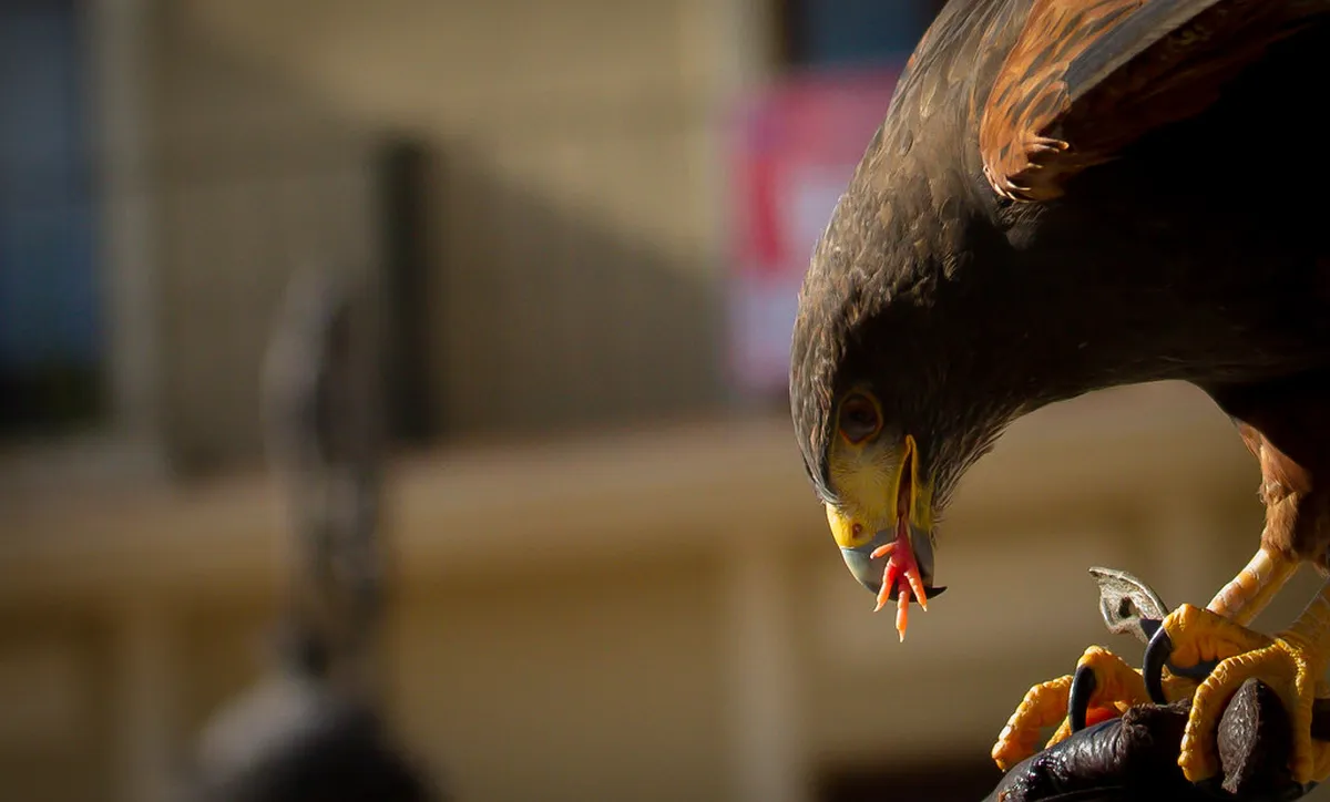 Best Tomar Hotels: Where to Stay in 2025 for Every Budget