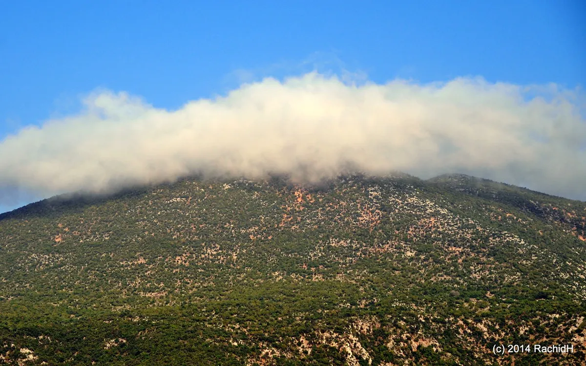 Top Argostoli Things to Do in 2025: Your Ultimate Guide