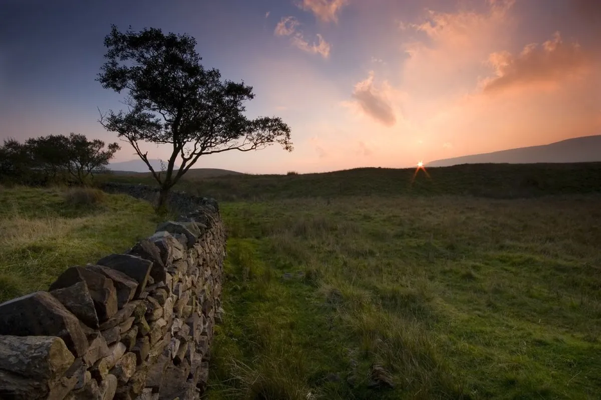 Discover Top Leeds Food Spots: Your 2025 Dining Guide