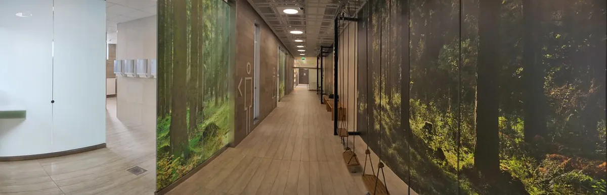 Top Tampere Experiences: Unforgettable 2025 Adventures