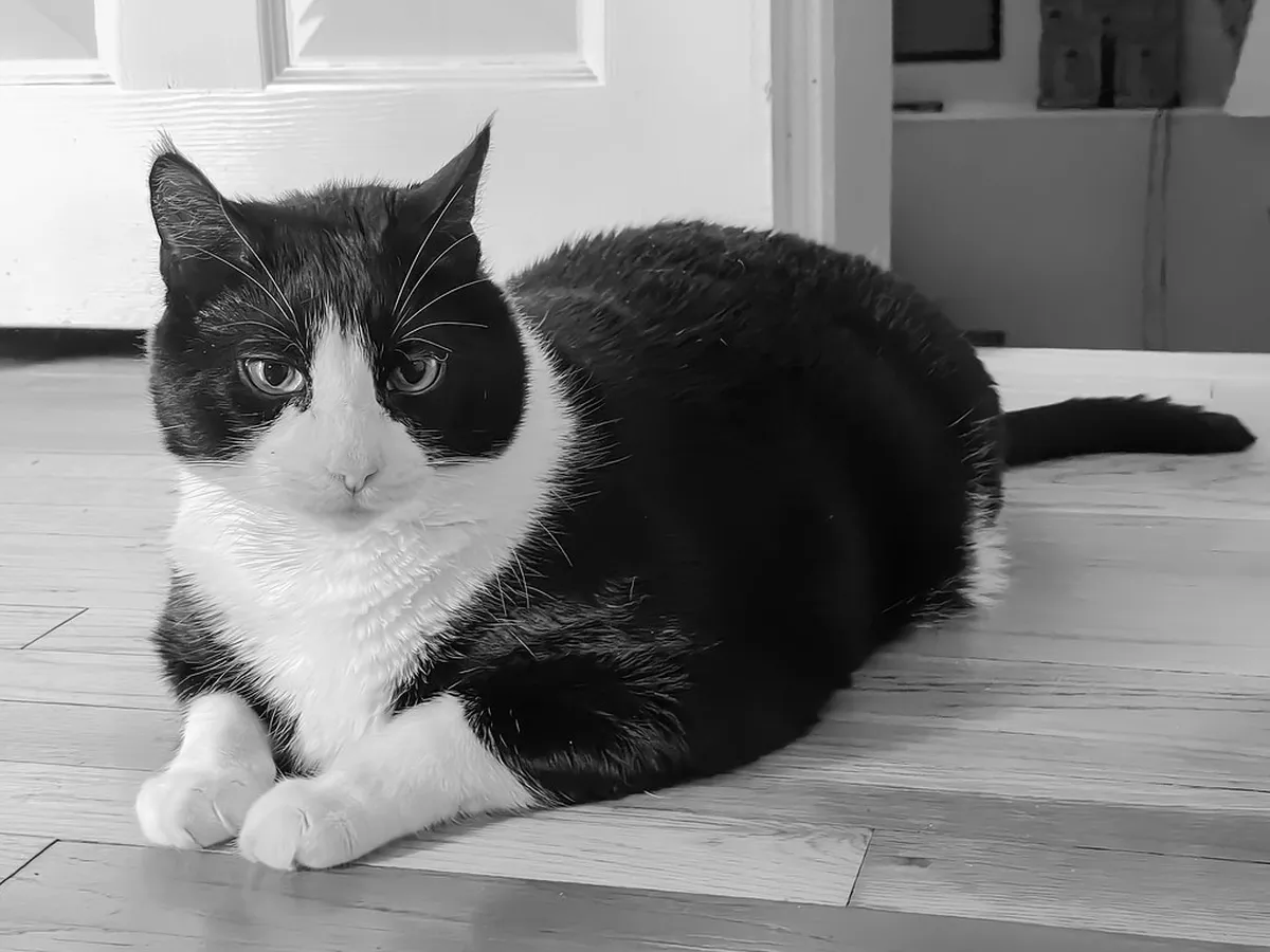 Top Things Bergamo First-Timers Must See in 2025