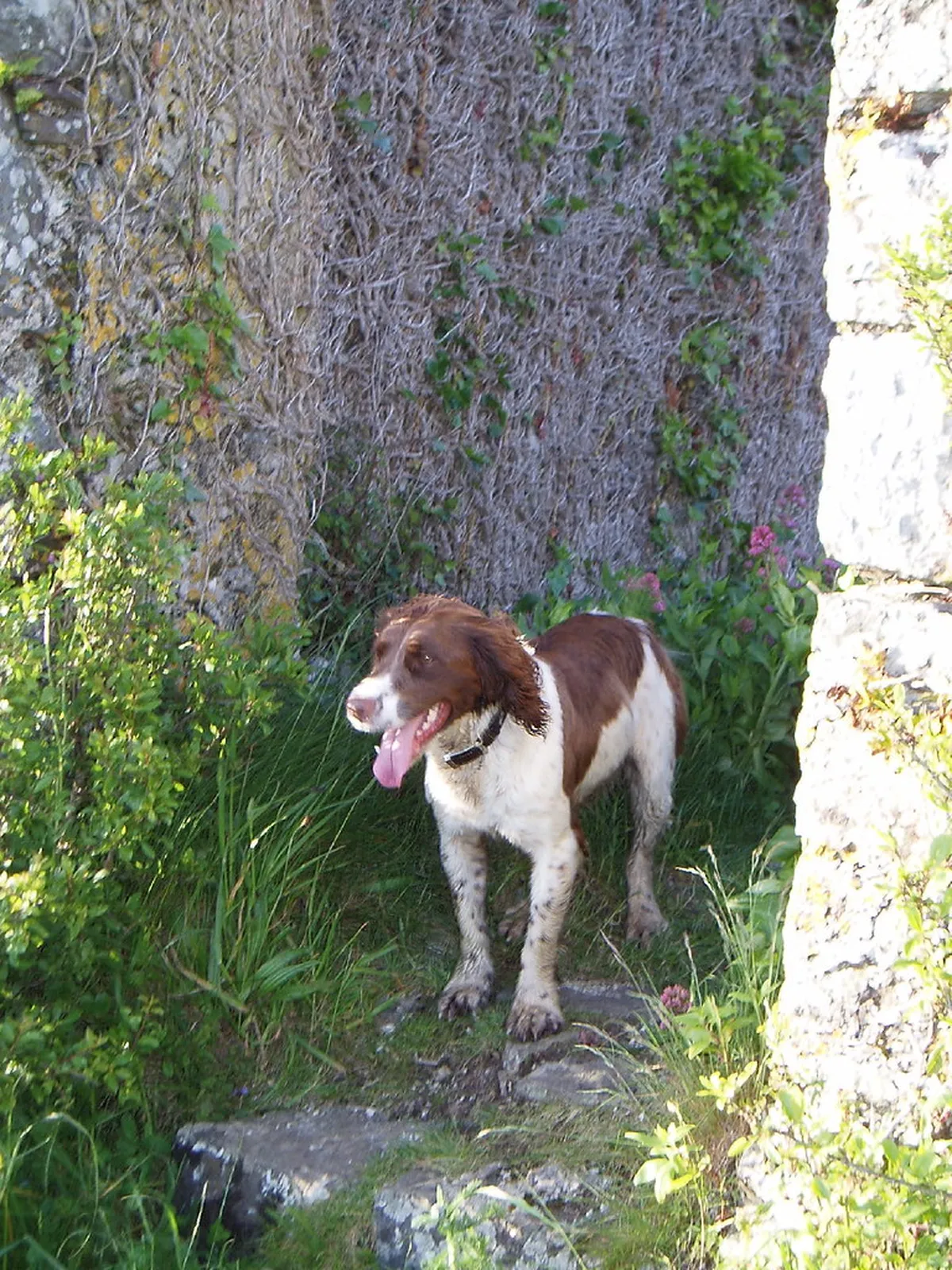 Kinsale: Top Things to Do & See in 2025