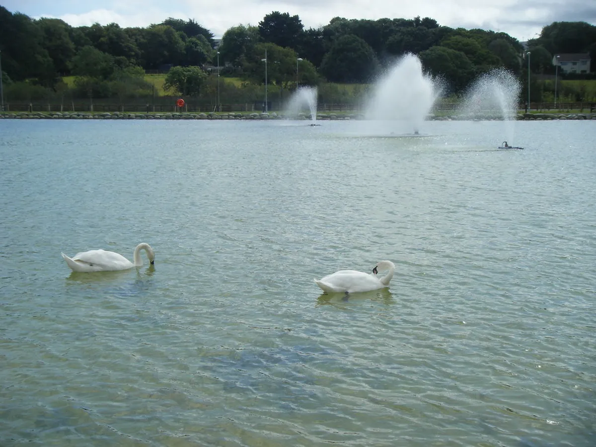 Top Tralee Family Activities 2025: Fun for All Ages