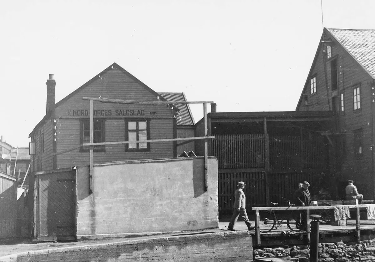 Tromsø Museums Architecture: A 2025 Guide