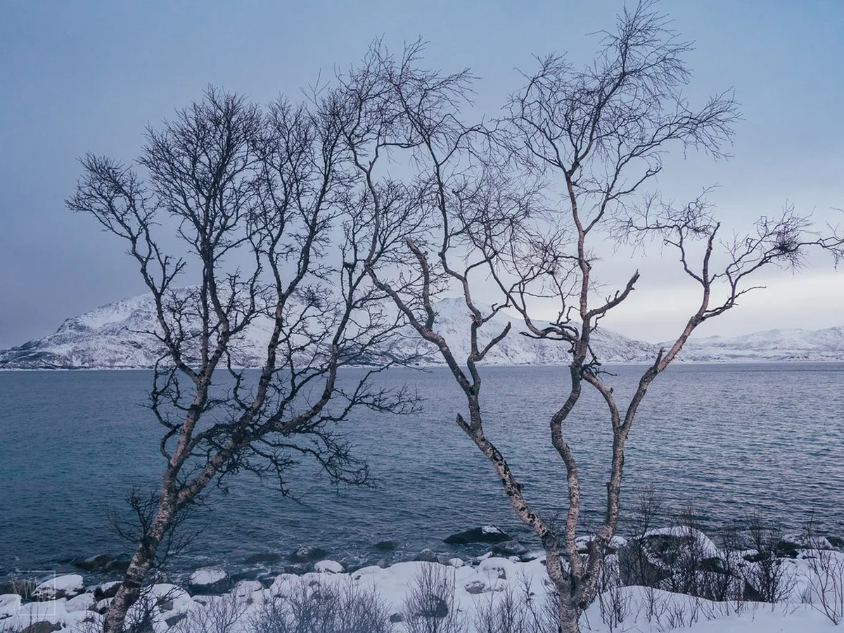 Tromsø's Secret Architectural Spots: Your 2025 Map