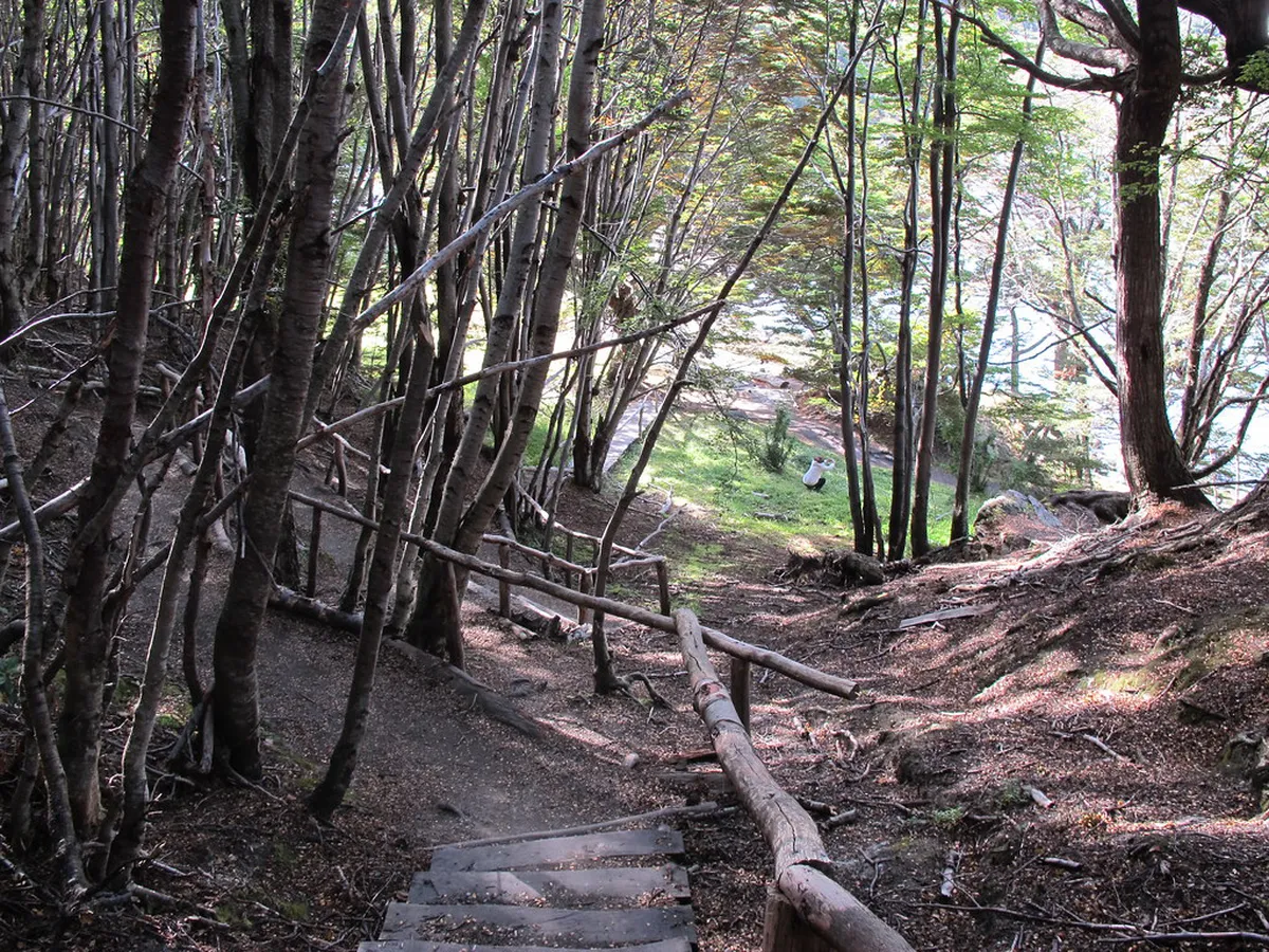 Uncover Unique Trondheim Cultural Experiences in 2025