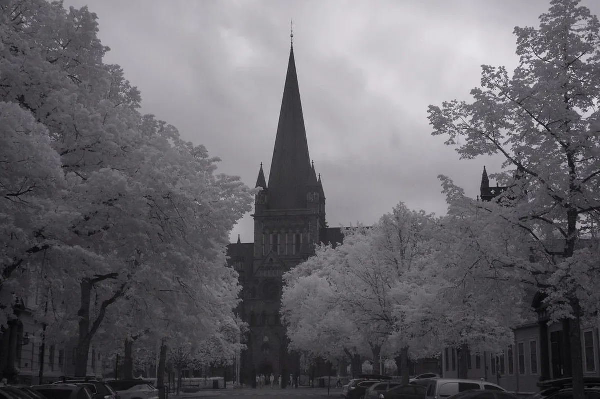 Trondheim's Urban Evolution: A Historic City Guide