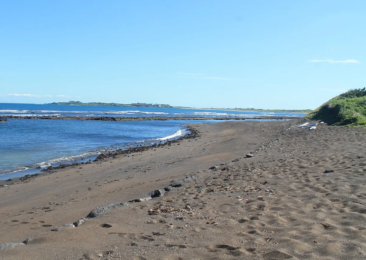 Udo Island Day Trip from Jeju: Complete 2026 Guide (Ferry, Beaches & What to Do)