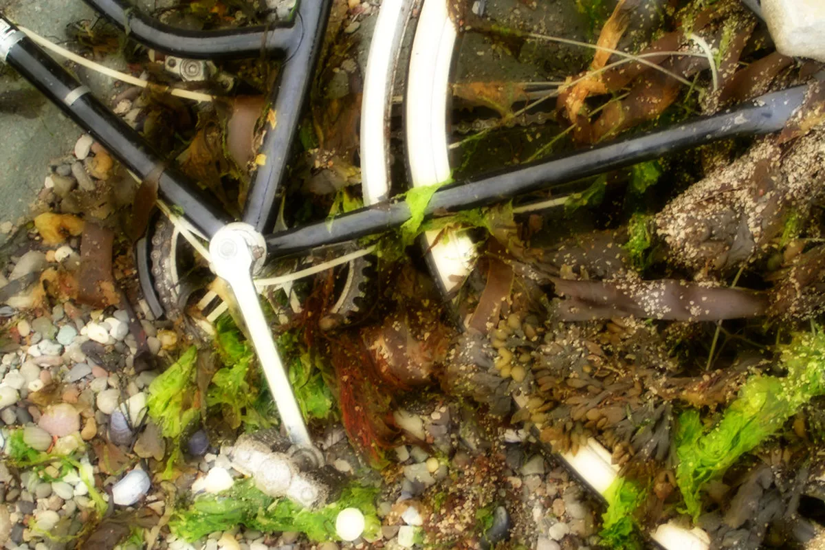 Discovering Stavanger's Traditional Facade Features