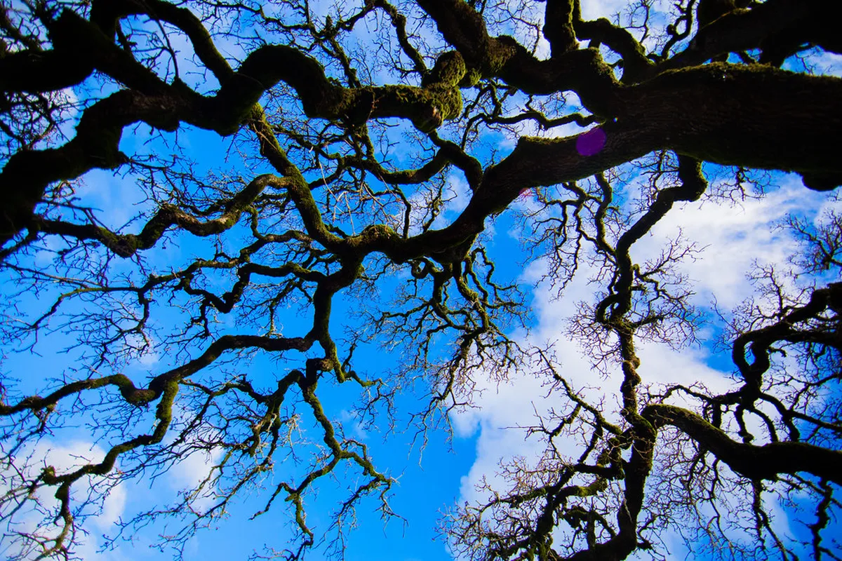 Hidden Gems: Undiscovered Ålesund Art Nouveau