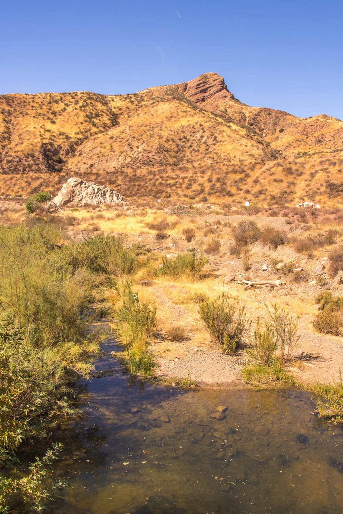 Venice Budget Travel Tips: Save Big in 2025!