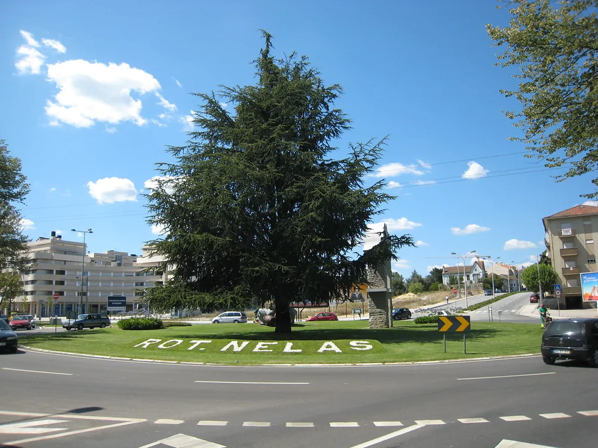 Top Viseu Day Trips Ideas for 2025: Explore Central Portugal