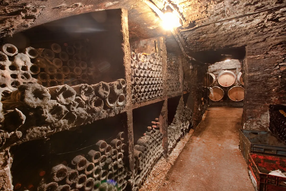 Visiting Beaune in November: Vente des Vins Guide 2026