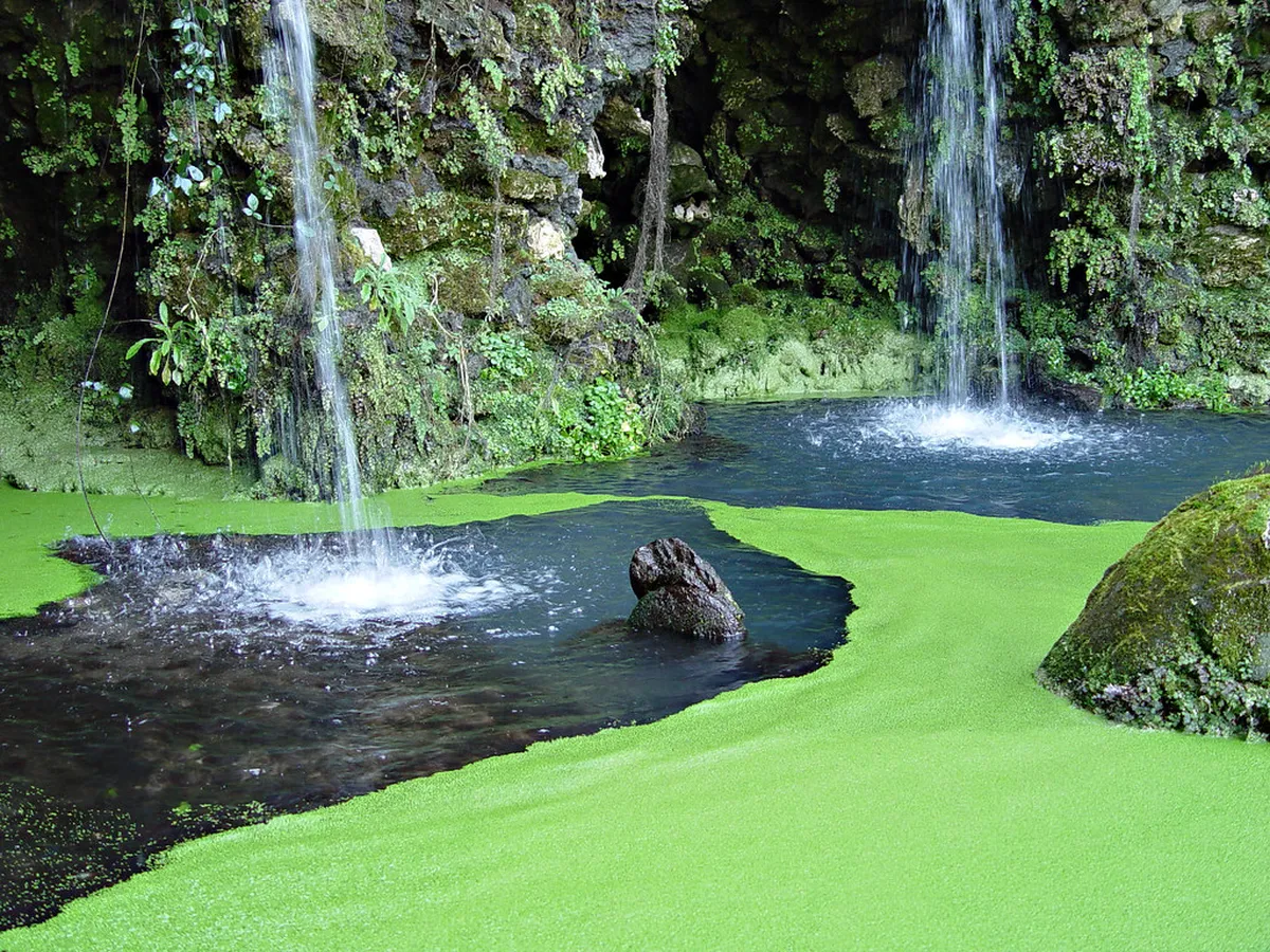 Best Viterbo Day Trips Itinerary for 2025 Adventures