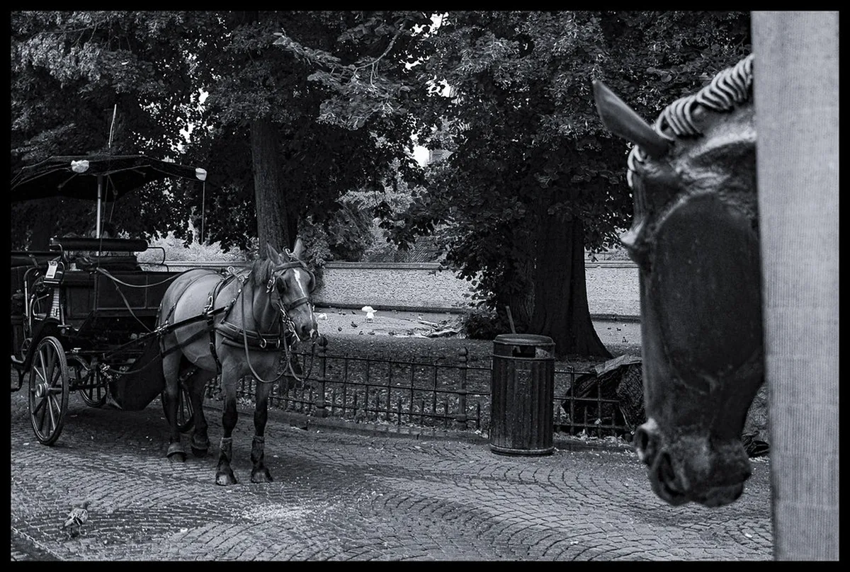 Your Ultimate Bruges Packing List 2026: Stay Prepared