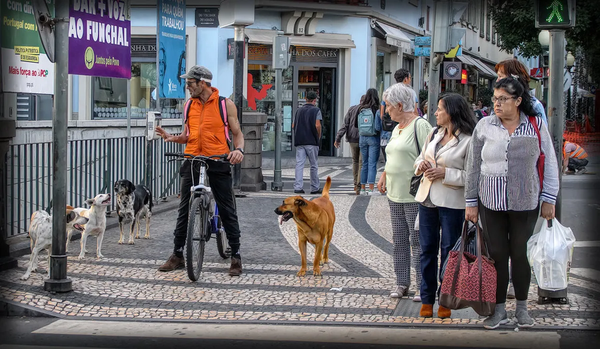 What to Pack for Funchal: Your Essential 2025 Packing List