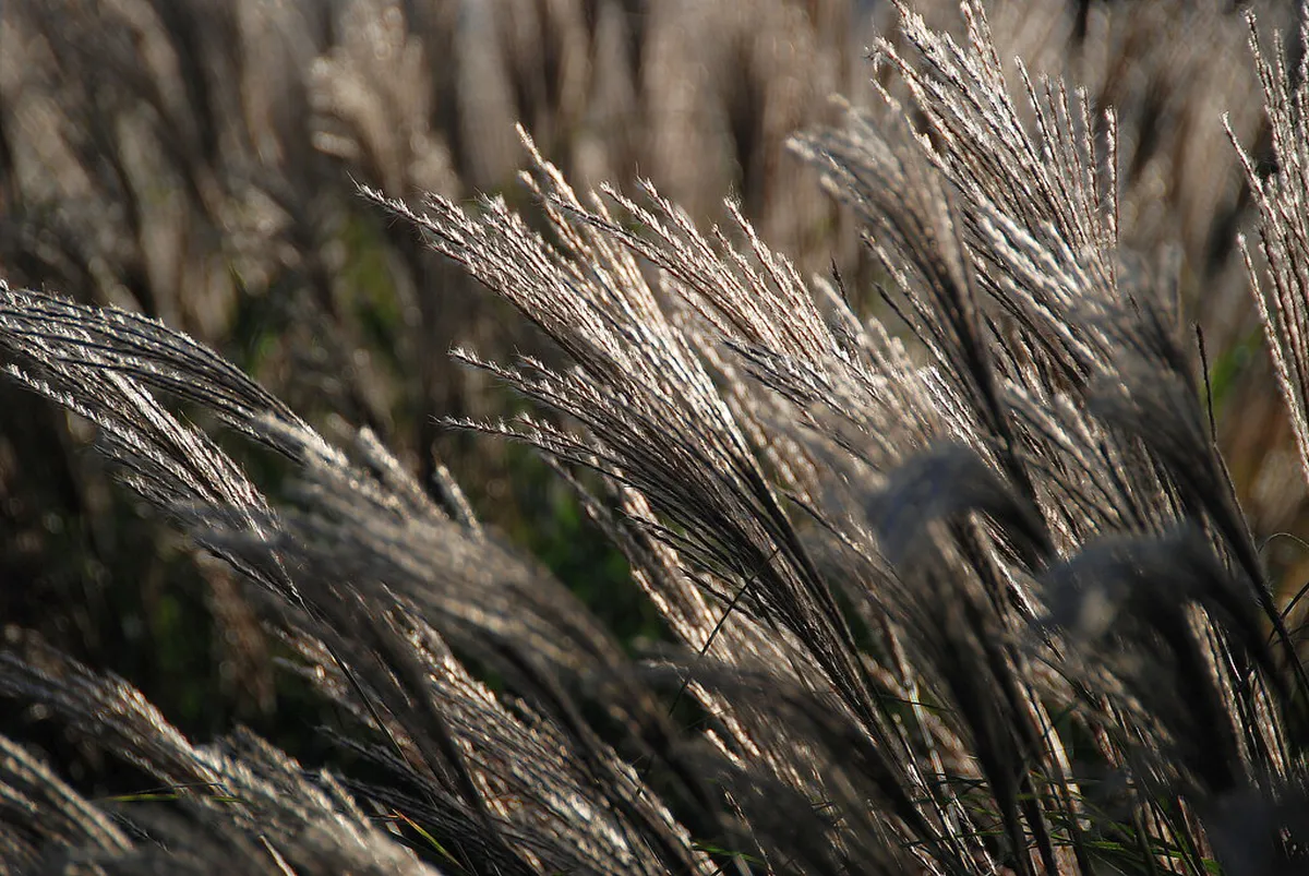 Where to Buy Trondheim Architecture Books in 2025