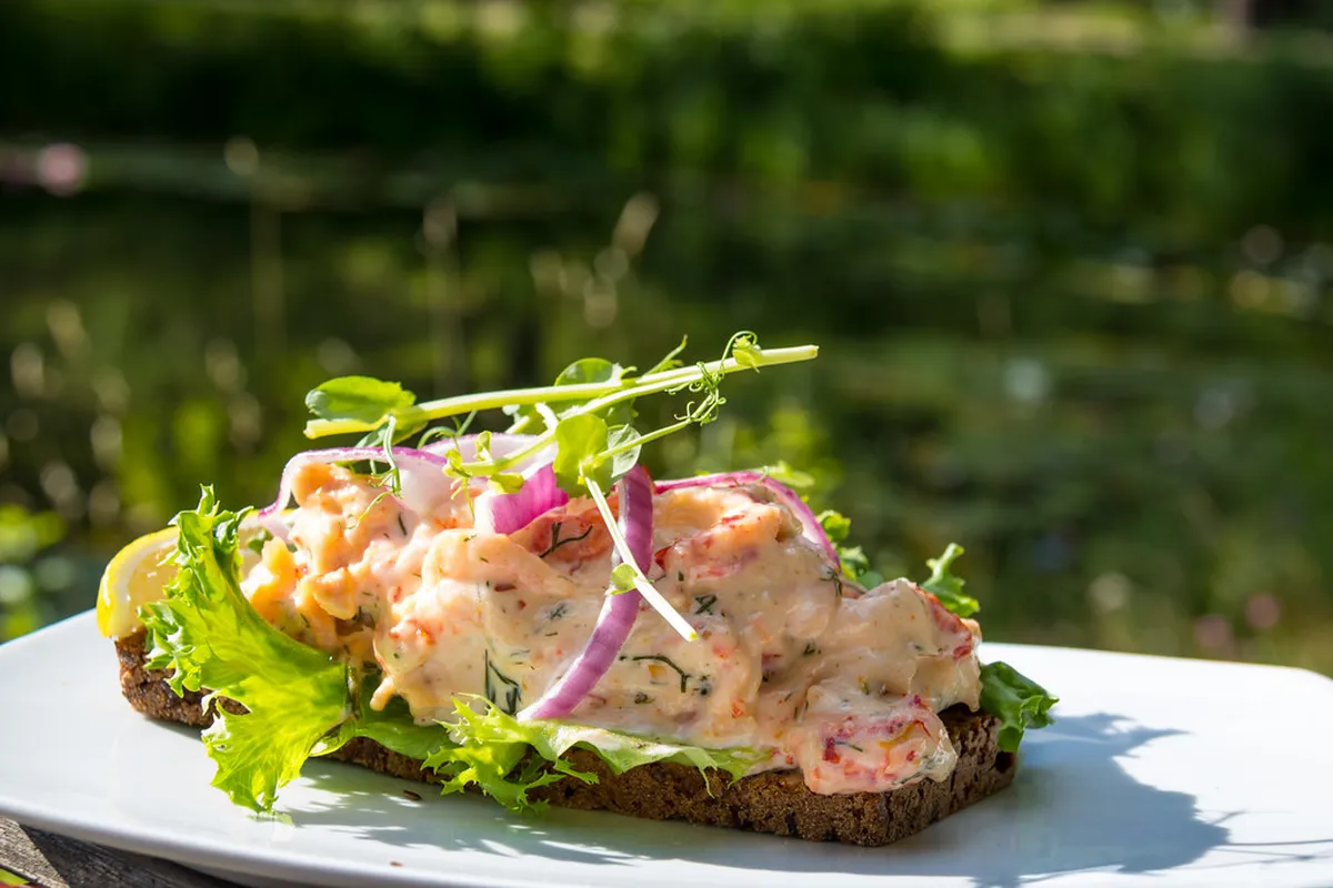 Where to Eat Skagen: Top 2025 Dining Spots