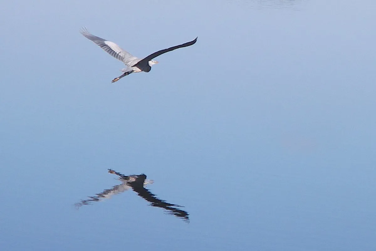 Where to Stay in Clermont-Ferrand: Best Neighborhoods for 2026