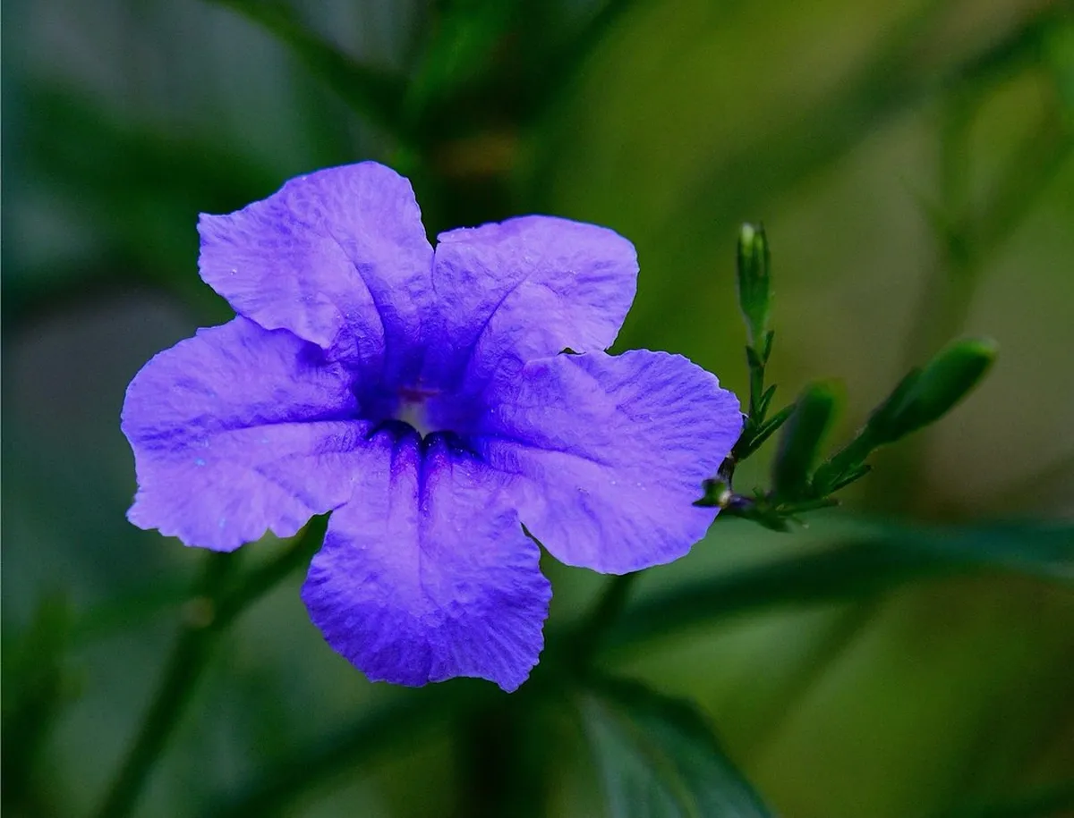 Where to Stay Milazzo First-Time: Top Areas & Hotels 2025