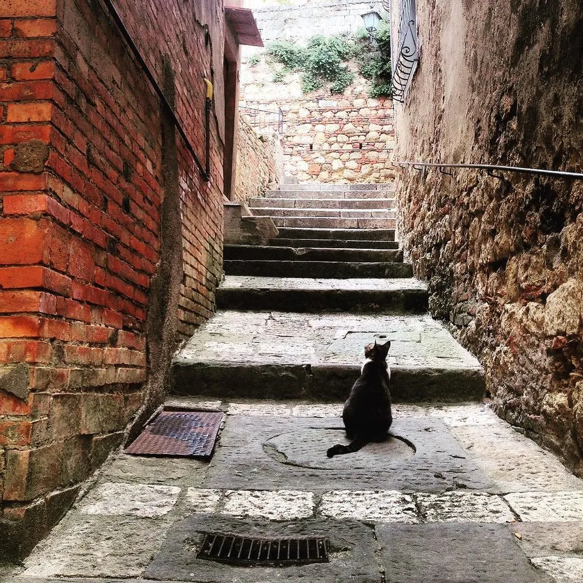 Where to Stay Montepulciano: Top Accommodations for 2025