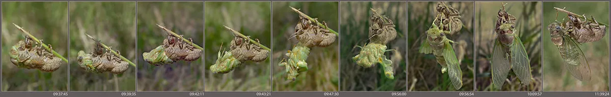 Where to Stay Zadar: Best Areas & Hotels 2025 Guide