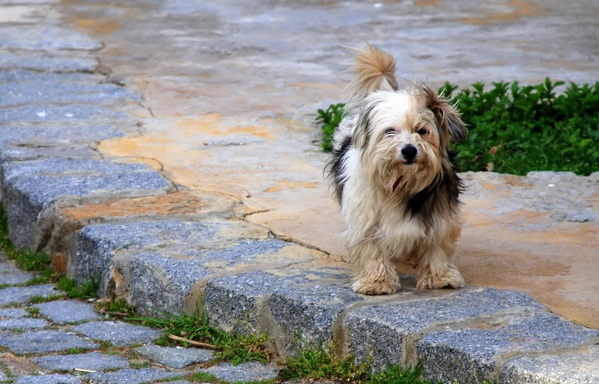 Çanakkale Tours Booking Guide 2025: Plan Your Trip