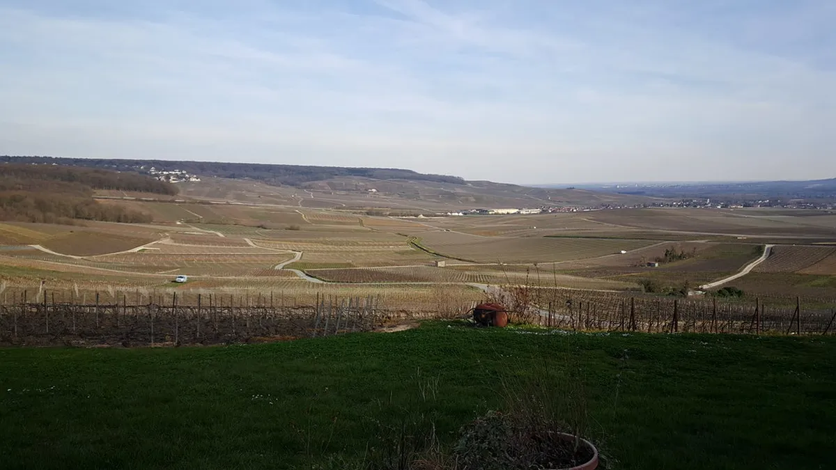 Épernay Budget Travel Guide 2025: Save on Champagne