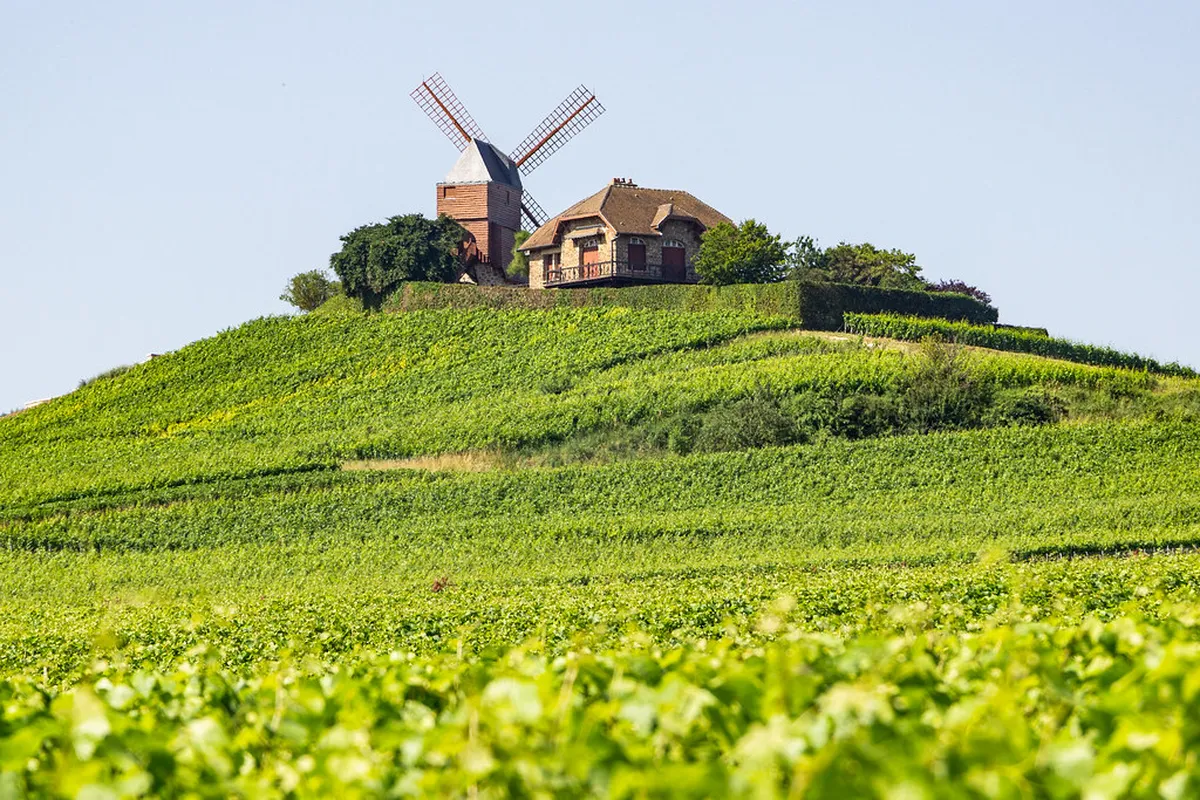 Épernay Travel Tips 2025: Your Essential Champagne Guide